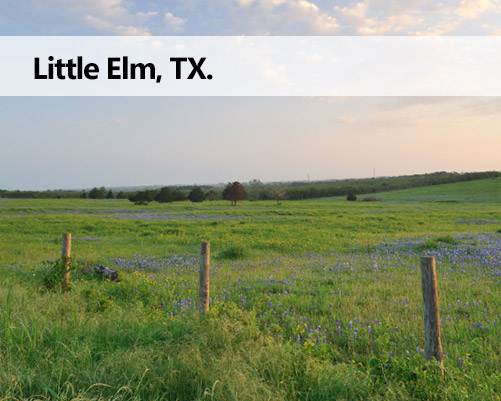 Little Elm TX